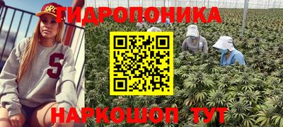 стаф Аргун